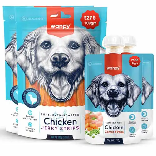 خرید و قیمت بستنی و تشویقی ونپی سگ