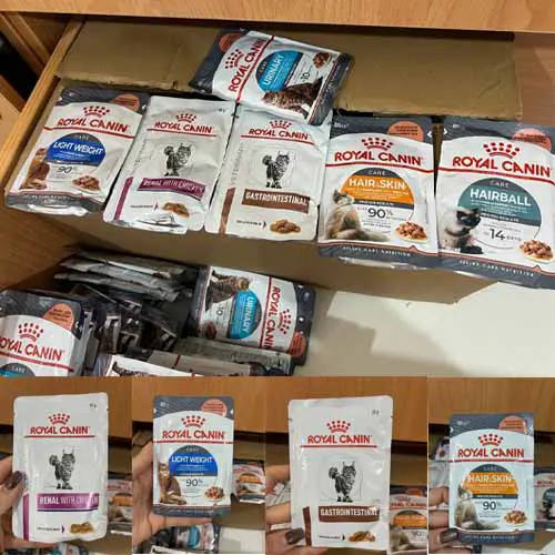 خرید و قیمت پوچ گربه رویال کنین