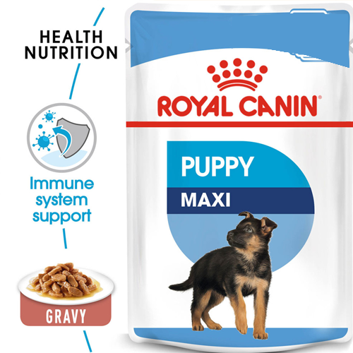 خرید و قیمت غذای خشک سگ رویال کنین مکسی پاپی